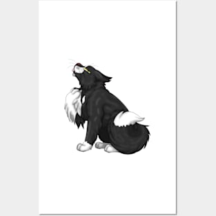 White Bicolor Longhair Posters and Art